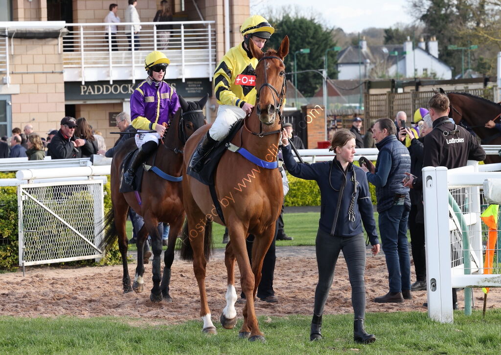 Betano Novices'  Handicap Chase