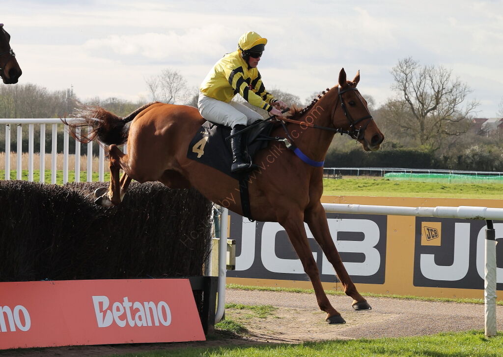Betano Novices'  Handicap Chase