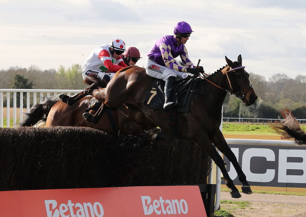 Betano Novices'  Handicap Chase