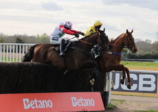 Betano Novices'  Handicap Chase
