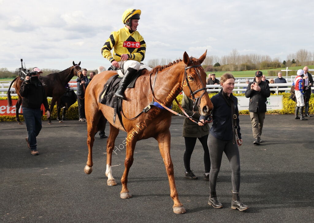Betano Novices'  Handicap Chase