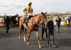 Betano Novices'  Handicap Chase