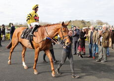 Betano Novices'  Handicap Chase