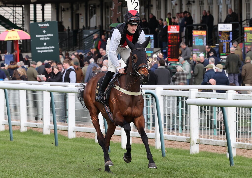 Betano Mares' Handicap  Hurdle