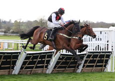 Betano Mares' Handicap  Hurdle