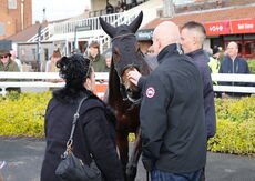 Betano Mares' Handicap  Hurdle