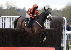 JCB Handicap Chase