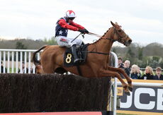 JCB Handicap Chase