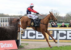 JCB Handicap Chase