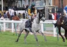 JCB Tele-Handler NH Flat Race