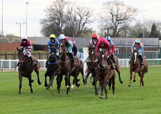 JCB Tele-Handler NH Flat Race