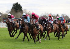 JCB Tele-Handler NH Flat Race