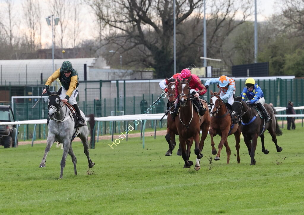 JCB Tele-Handler NH Flat Race