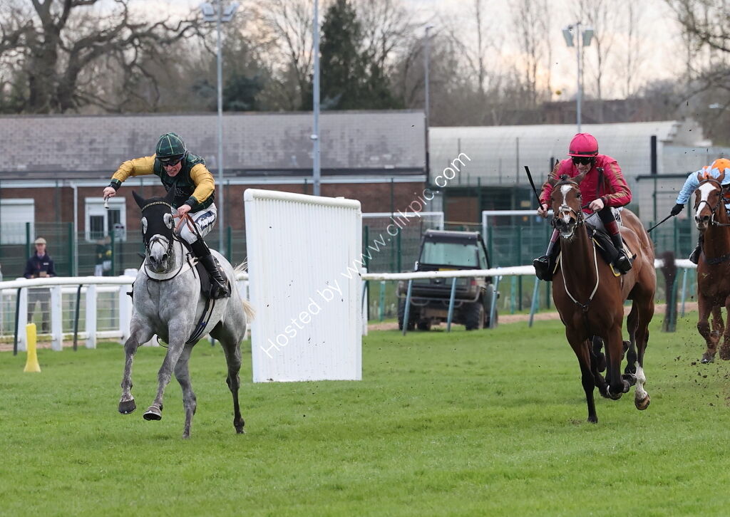 JCB Tele-Handler NH Flat Race