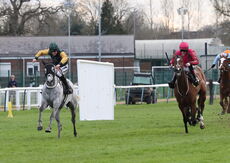 JCB Tele-Handler NH Flat Race