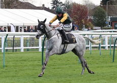 JCB Tele-Handler NH Flat Race