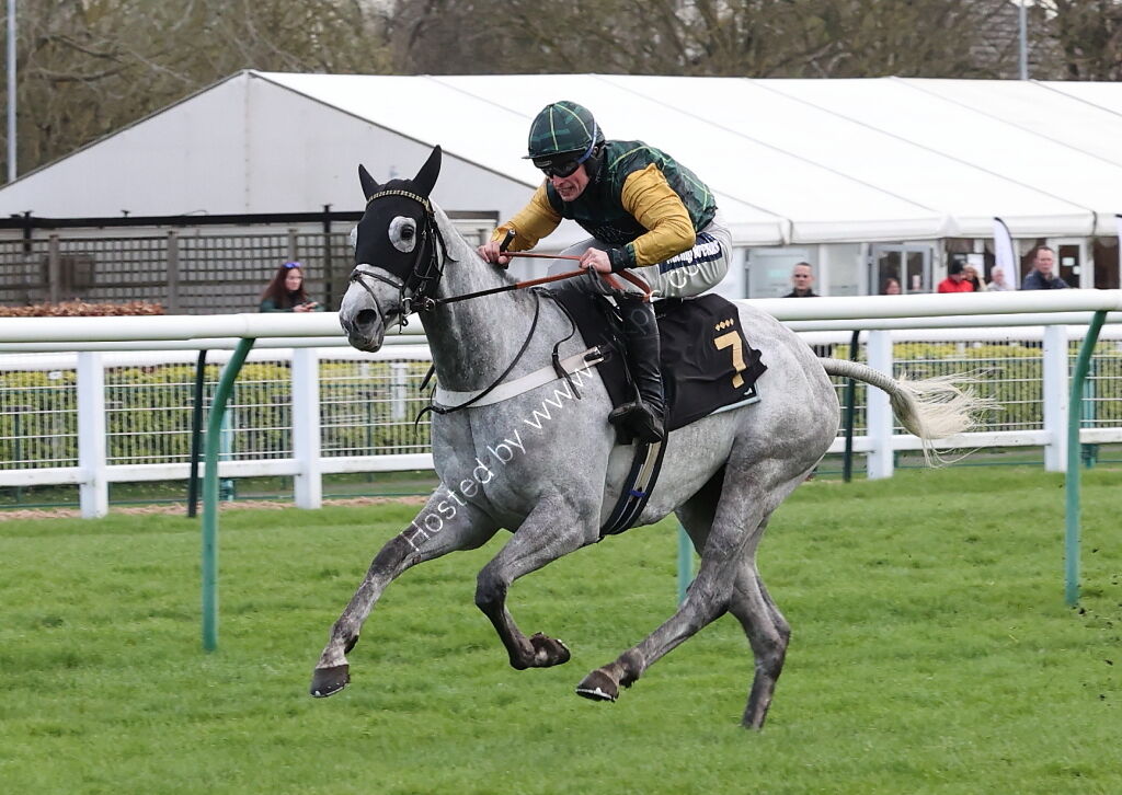 JCB Tele-Handler NH Flat Race