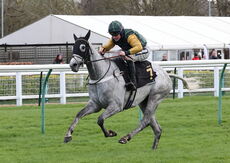 JCB Tele-Handler NH Flat Race