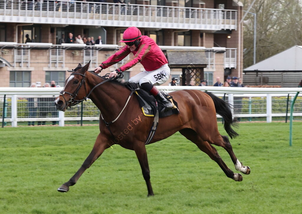 JCB Tele-Handler NH Flat Race