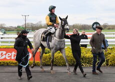 JCB Tele-Handler NH Flat Race