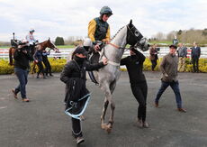 JCB Tele-Handler NH Flat Race