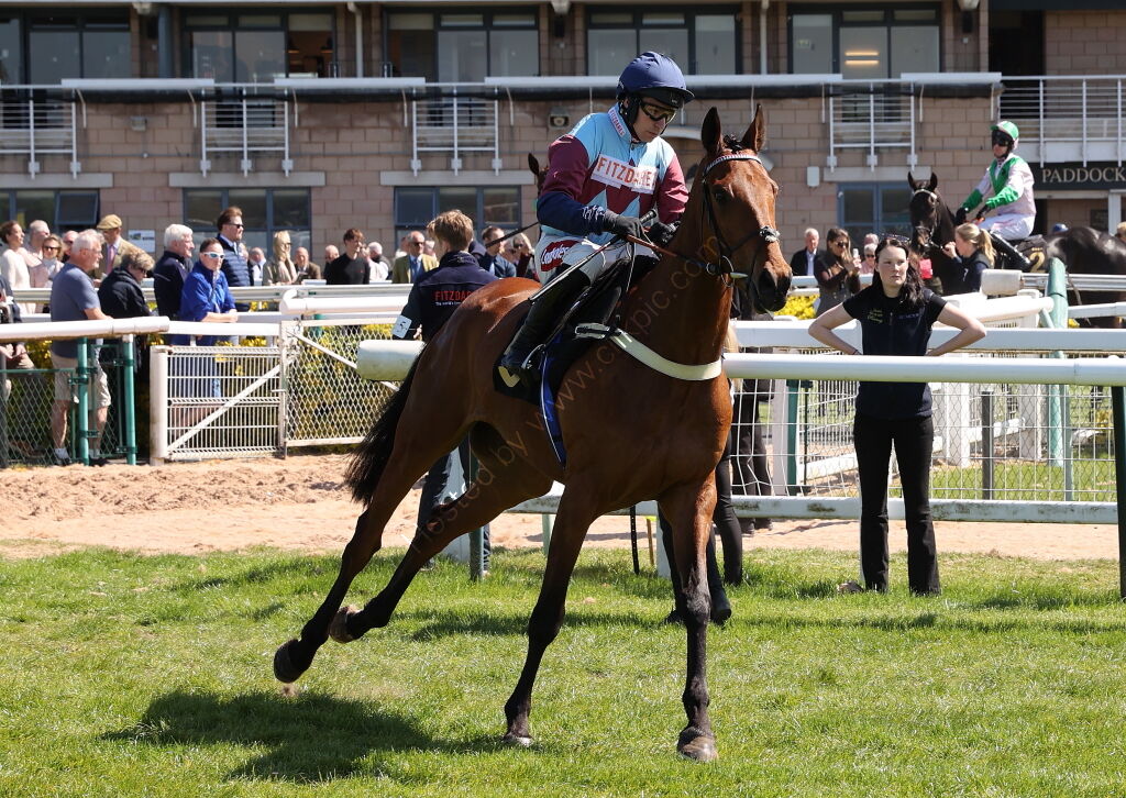 Charlie Wilson Memorial Maiden Hurdle