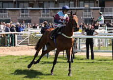 Charlie Wilson Memorial Maiden Hurdle