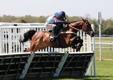 Charlie Wilson Memorial Maiden Hurdle
