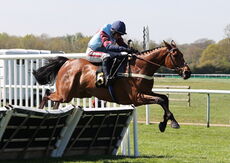 Charlie Wilson Memorial Maiden Hurdle