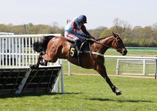 Charlie Wilson Memorial Maiden Hurdle