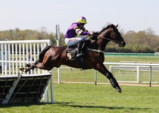 Charlie Wilson Memorial Maiden Hurdle