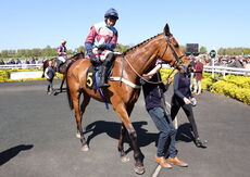 Charlie Wilson Memorial Maiden Hurdle