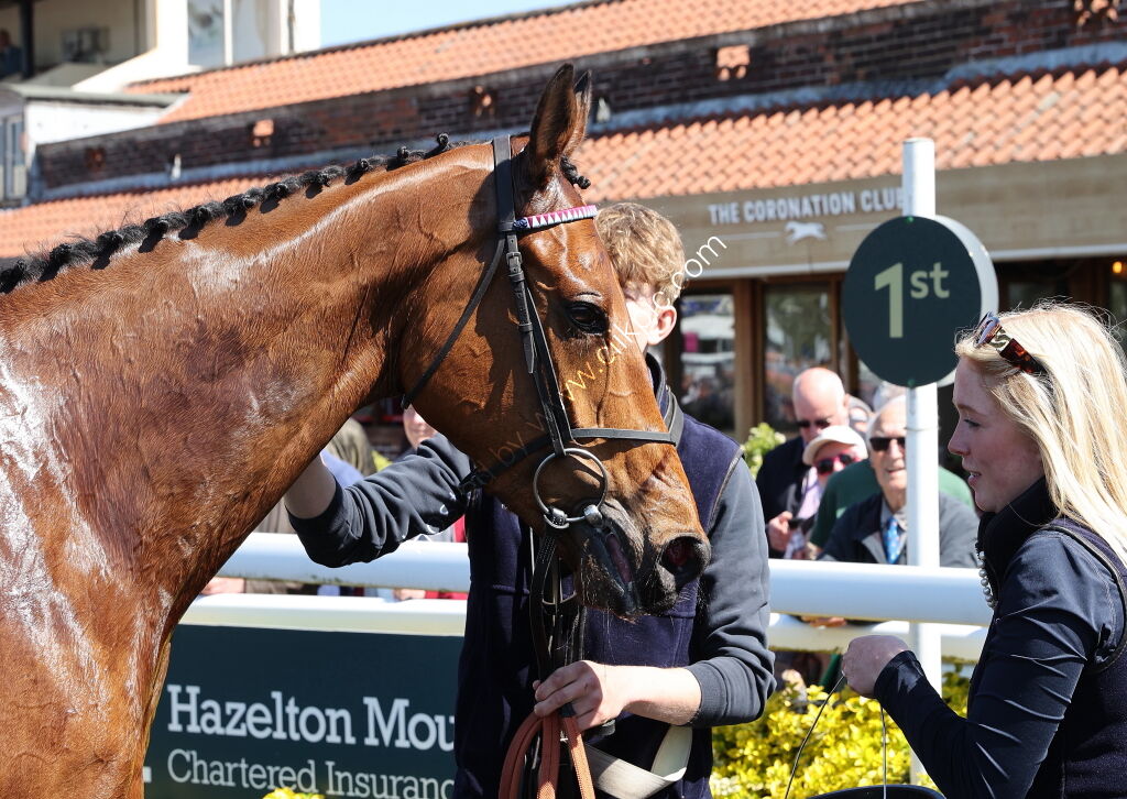 Charlie Wilson Memorial Maiden Hurdle