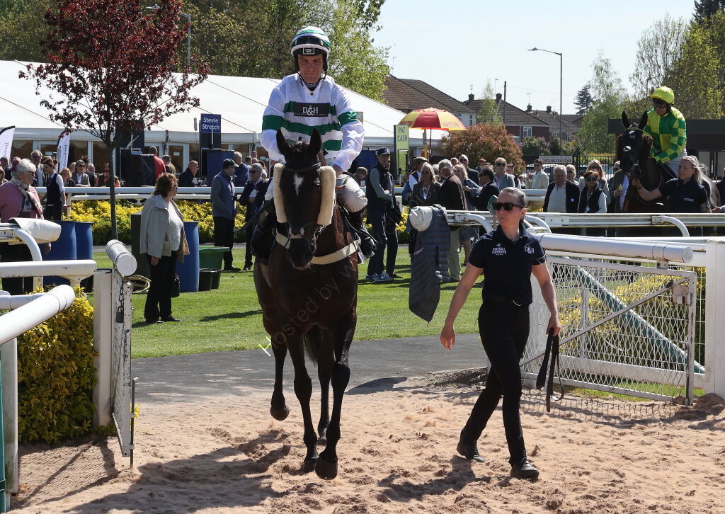 John Sillett Memorial Handicap Hurdle
