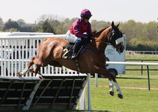 John Sillett Memorial Handicap Hurdle