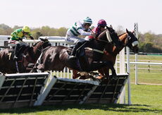 John Sillett Memorial Handicap Hurdle