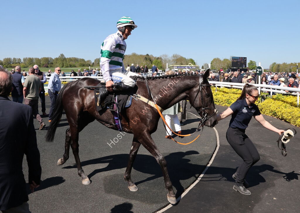 John Sillett Memorial Handicap Hurdle