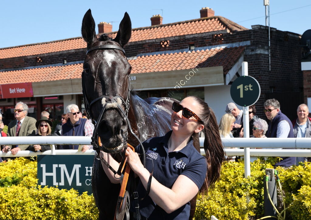 john Sillett Memorial Handicap Hurdle
