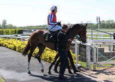 Sporting Agenda Challenger Series Mares' Chase Final