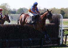 Sporting Agenda Challenger Series Mares' Chase Final
