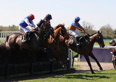 Sporting Agenda Challenger Series Mares' Chase Final