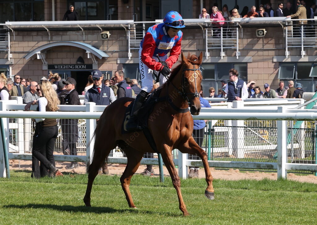 KTDA Mares' Challenger Series Final Handicap Hurdle