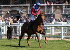 KTDA Mares' Challenger Series Final Handicap Hurdle