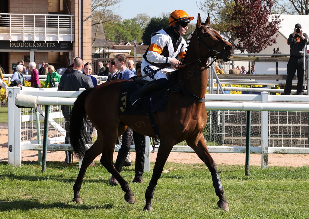 Vanessa Littler's 60th Birthday H'cap Chase