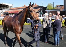 Vanessa Littler's 60th Birthday H'cap Chase