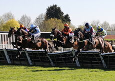 Molly Ollys Charity Handicap Hurdle