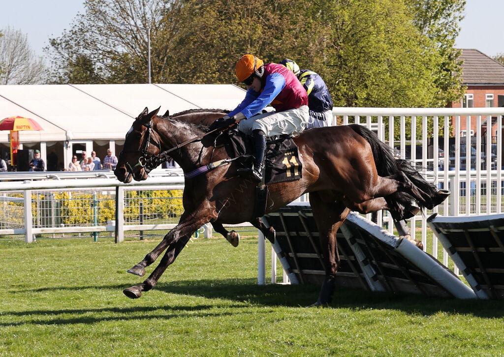 Molly Ollys Charity Handicap Hurdle