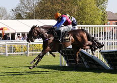 Molly Ollys Charity Handicap Hurdle