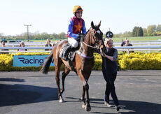 Molly Ollys Charity Handicap Hurdle