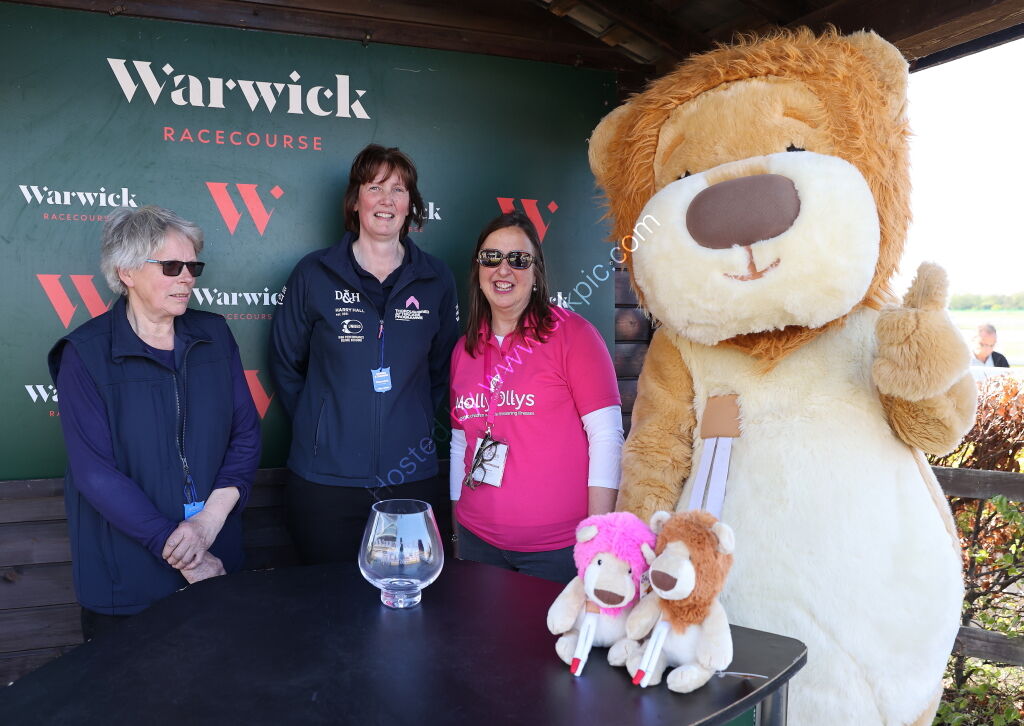 Molly Ollys Charity Handicap Hurdle